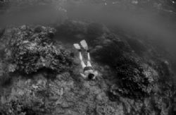snorkelling between dives. by Gregory Grant 